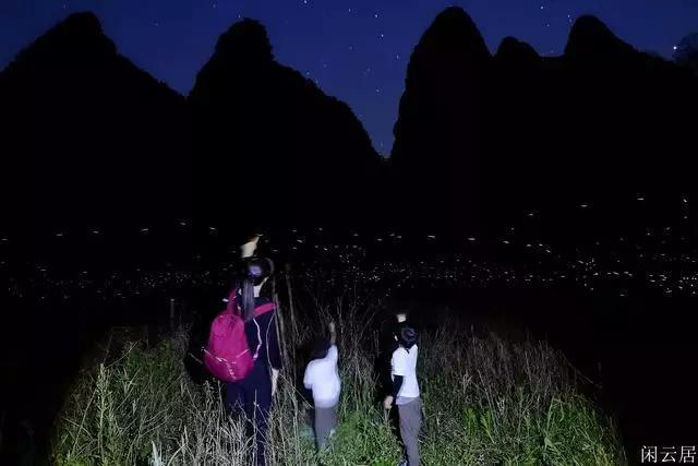 救援青龙