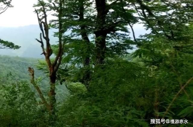 哪些不良行为会导致关节损伤？关节损伤会造成什么后果？